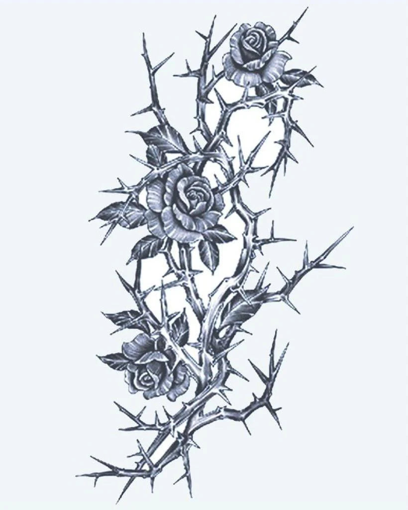Roses & Épines