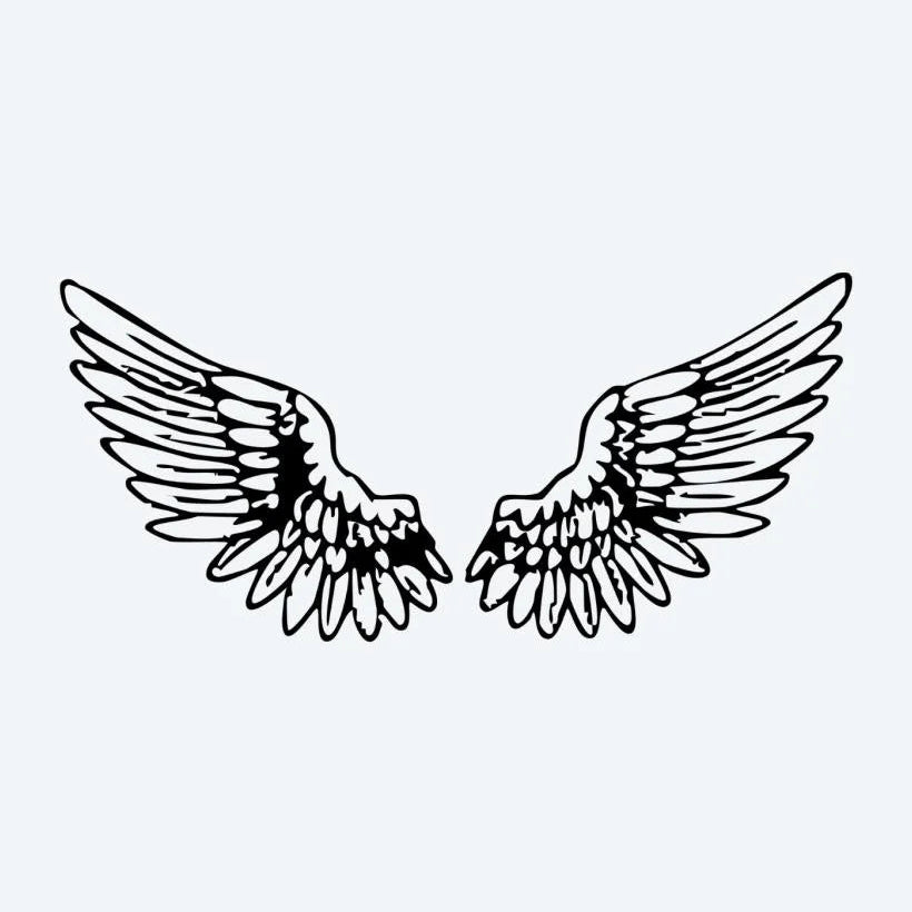 Paire d'Ailes d'Ange