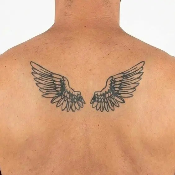 Paire d'Ailes d'Ange