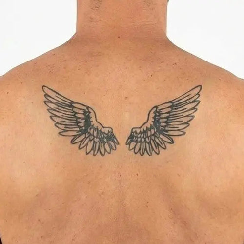 Paire d'Ailes d'Ange