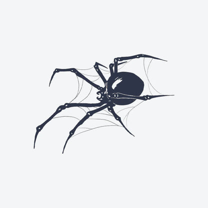 Araignée dans sa Toile