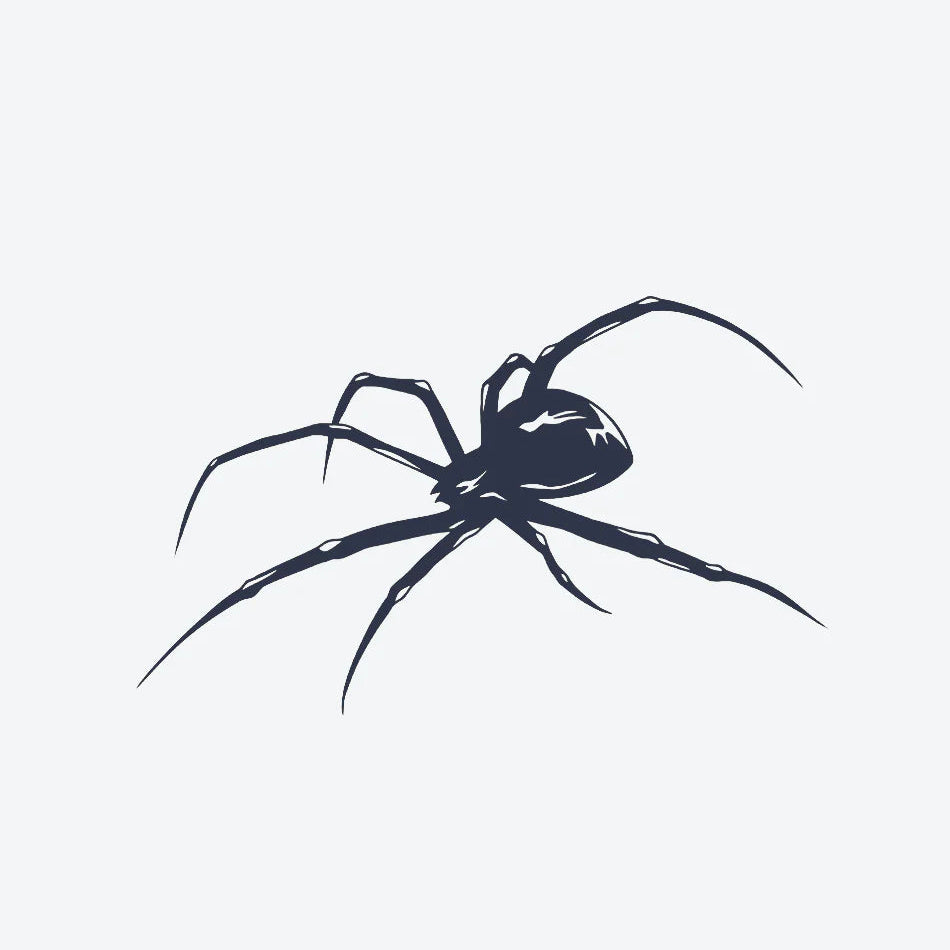 Araignée Noire