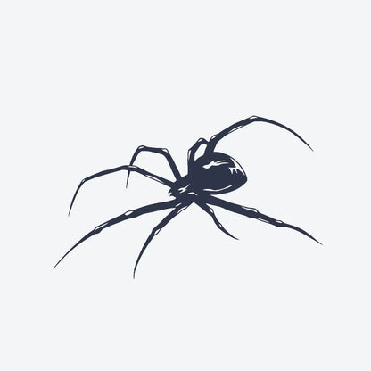 Araignée Noire