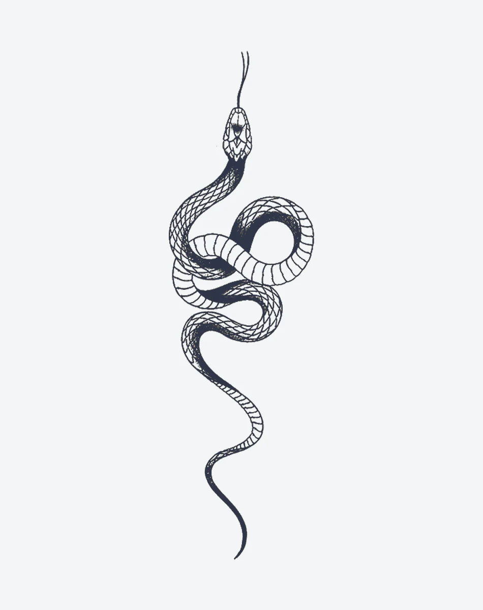 Charme du Serpent