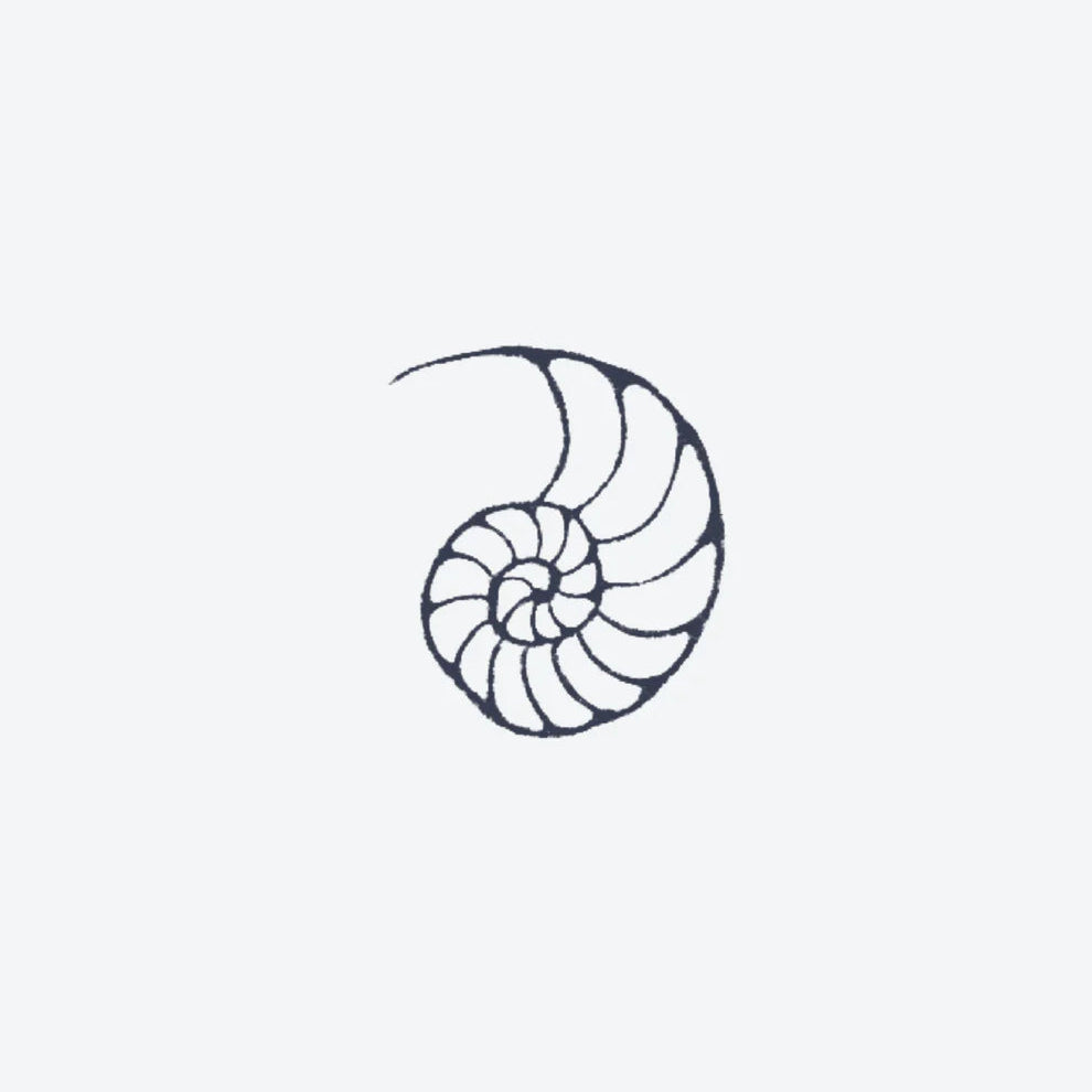Nautile