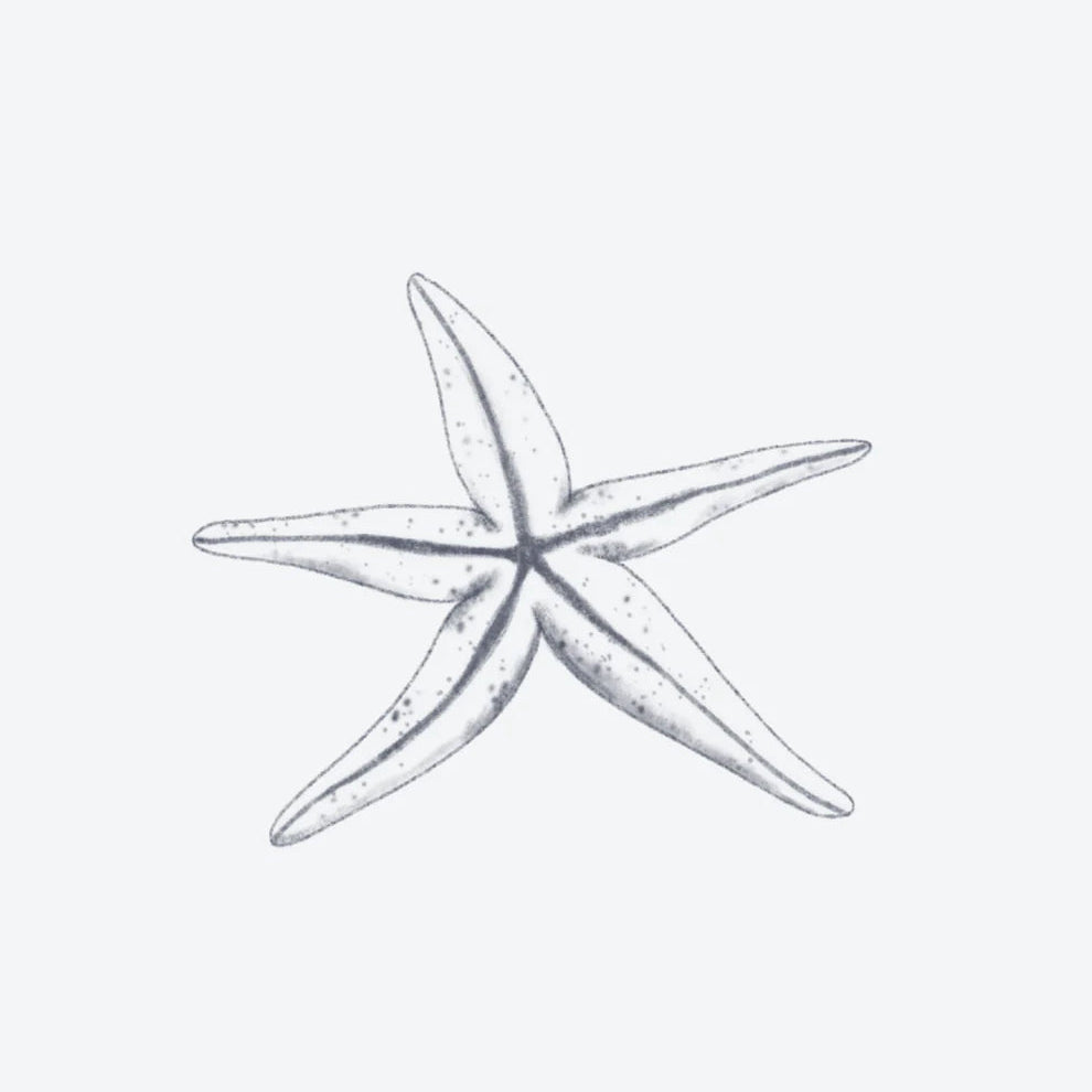 Étoile de Mer
