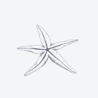 Étoile de Mer
