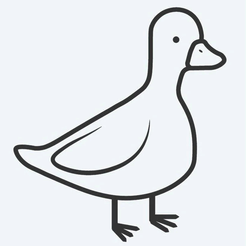 Petit Canard