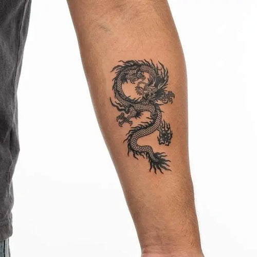 Dragon Chinois Sinueux
