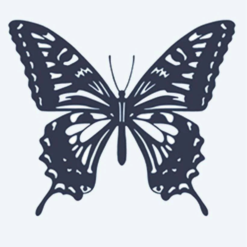 Papillon Queue d'Aronde