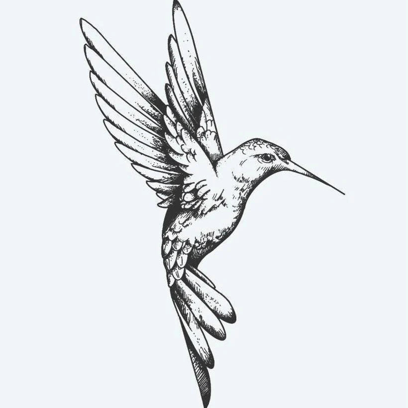 Colibri