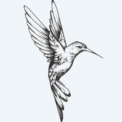 Colibri