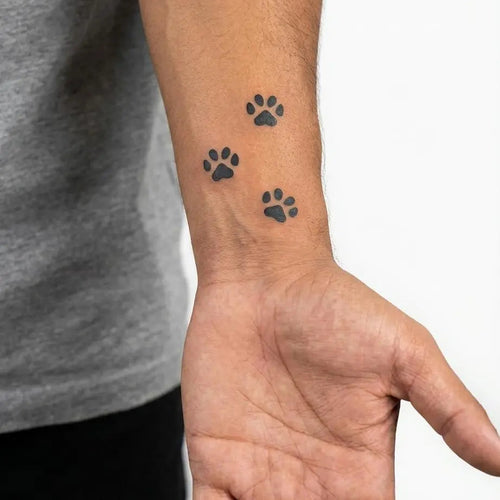 Traces de Pattes