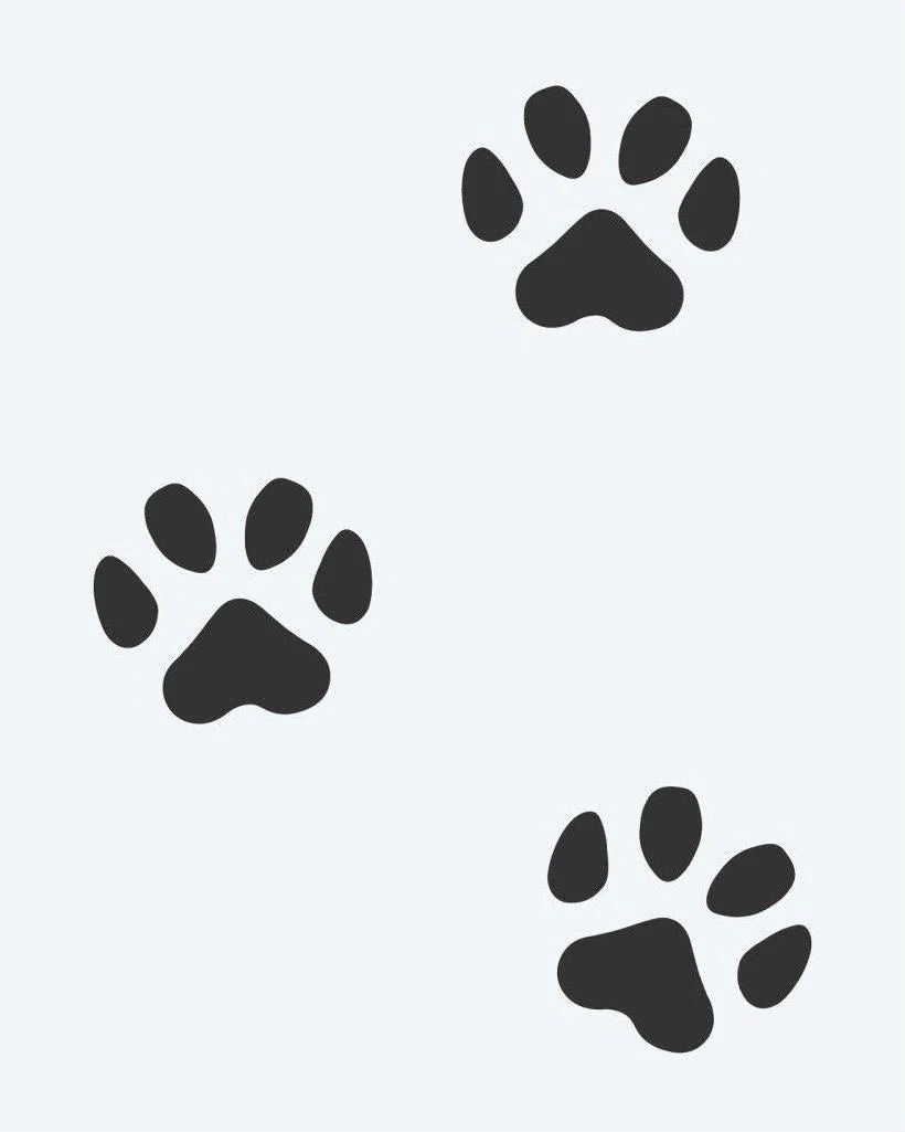 Traces de Pattes