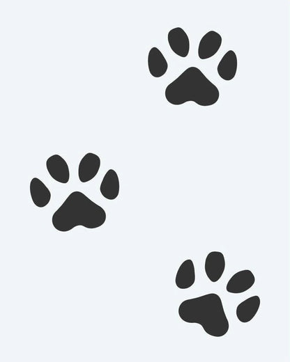 Traces de Pattes