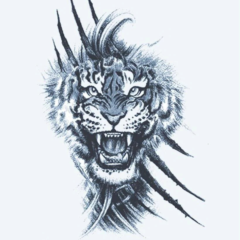 Tigre Rugissant & Griffes