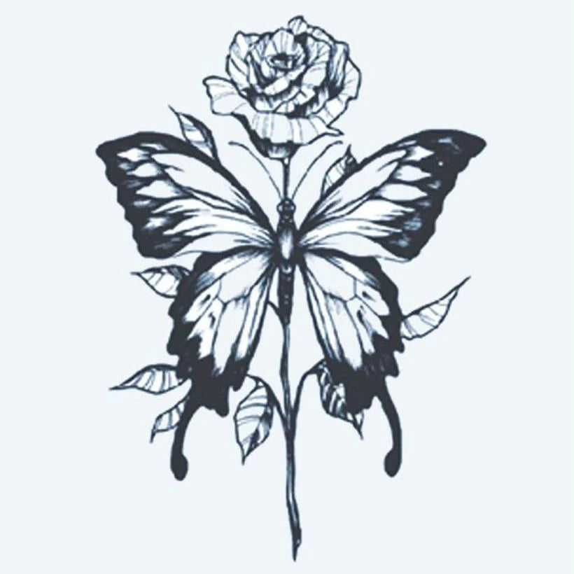 Rose & Papillon