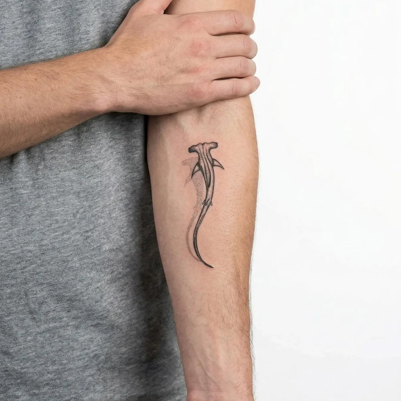 Requin Marteau