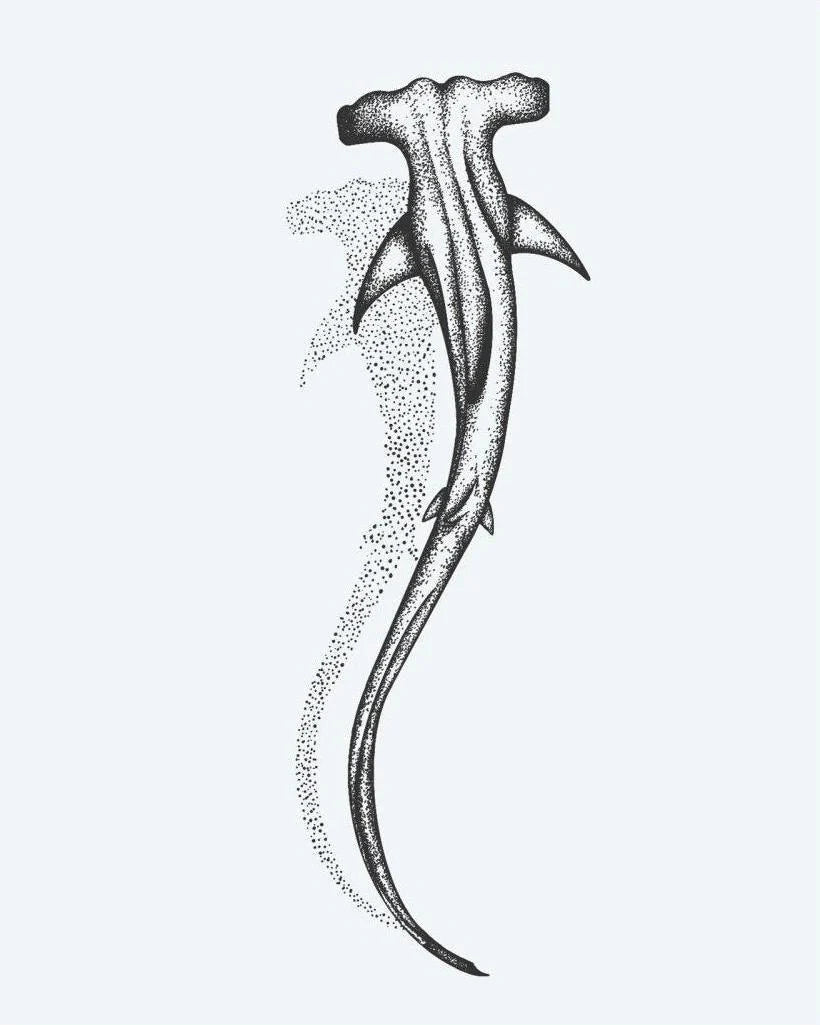 Requin Marteau