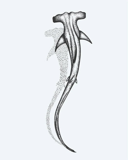 Requin Marteau