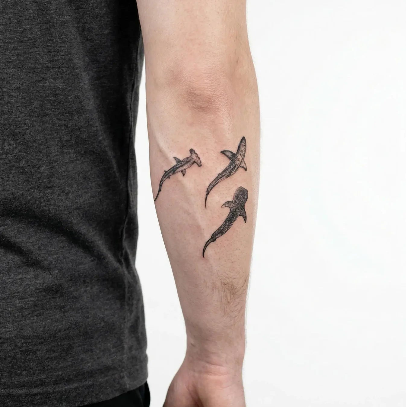 Trio de Requins