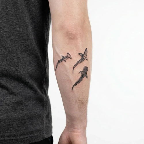 Trio de Requins