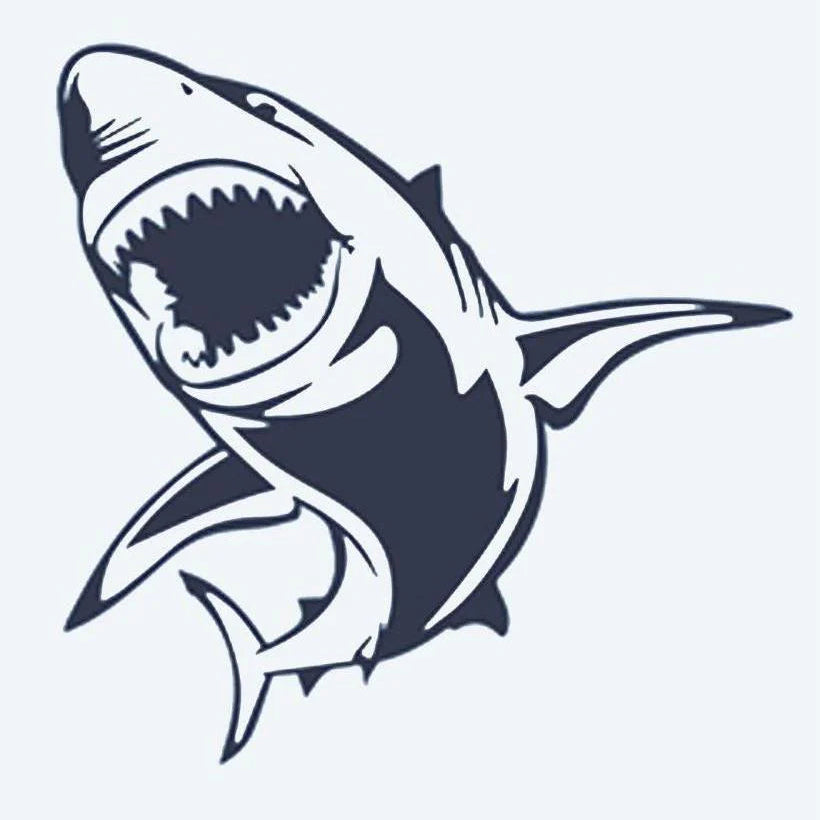 Grand Requin Blanc